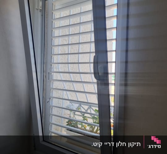 חלון עם תריסים פתוחים וצמח בעציץ בחוץ